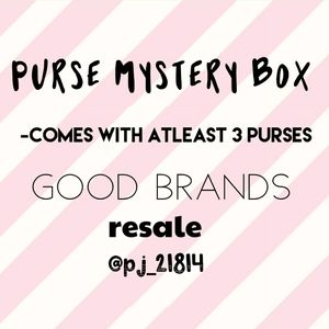 Purse Mystery Box